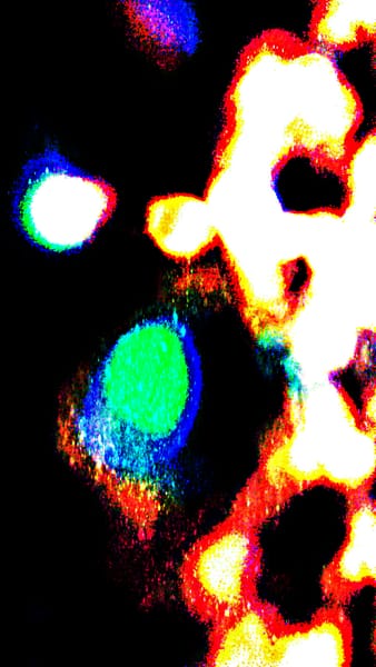 Star Factory